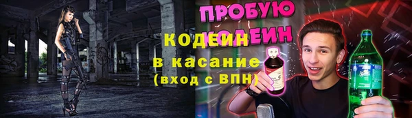 трава Арсеньев