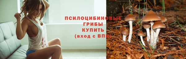 трава Арсеньев