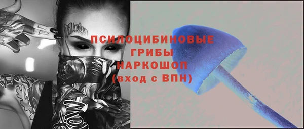 трава Арсеньев