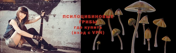 трава Арсеньев