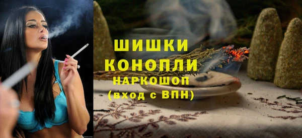 трава Арсеньев